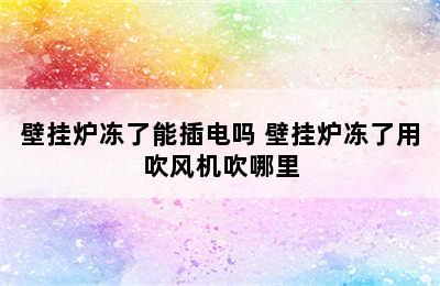 壁挂炉冻了能插电吗 壁挂炉冻了用吹风机吹哪里